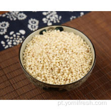 Grãos mais saudáveis ​​de arroz